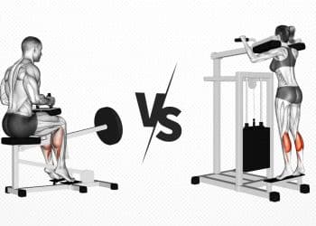Seated Vs. Standing Calf Raise