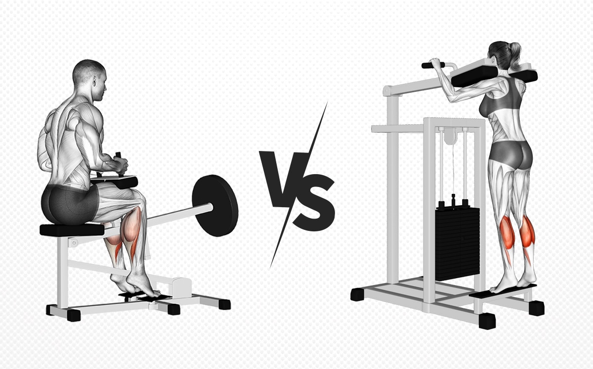 Seated Vs Standing Calf Raise Which One Should You Do Fitness Volt