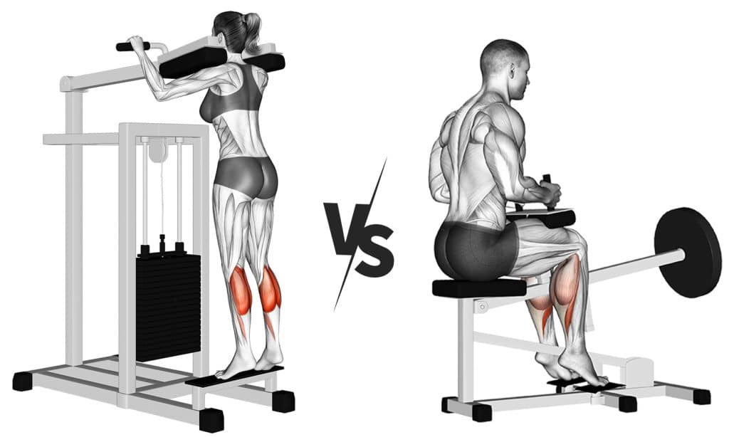 Seated Vs. Standing Calf Raise Which One Should You Do? Fitness Volt