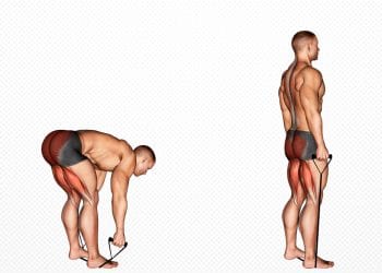 Band Stiff Legged Deadlift