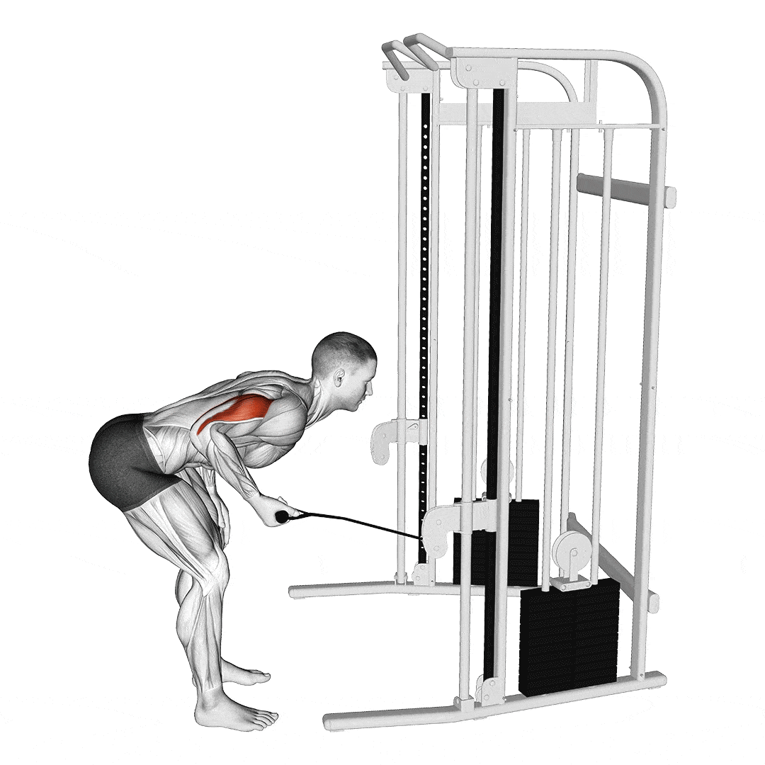 Why You Should Prioritize Cable Tricep Extensions In Your Arm Workout 