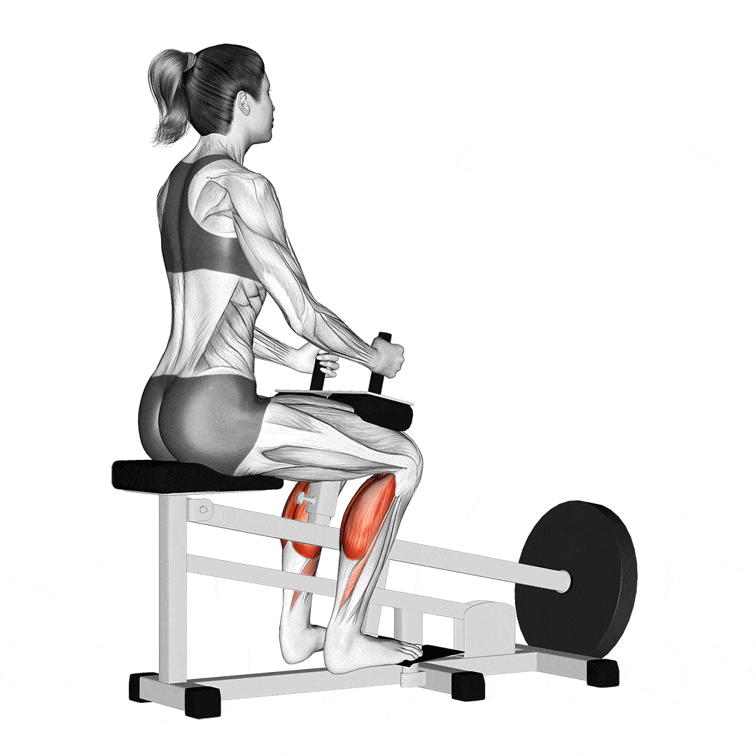 Seated Toe Raises Seated Proper Way To Do Calf Raises Standing Calf