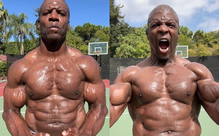 Terry Crews Jacked Physique
