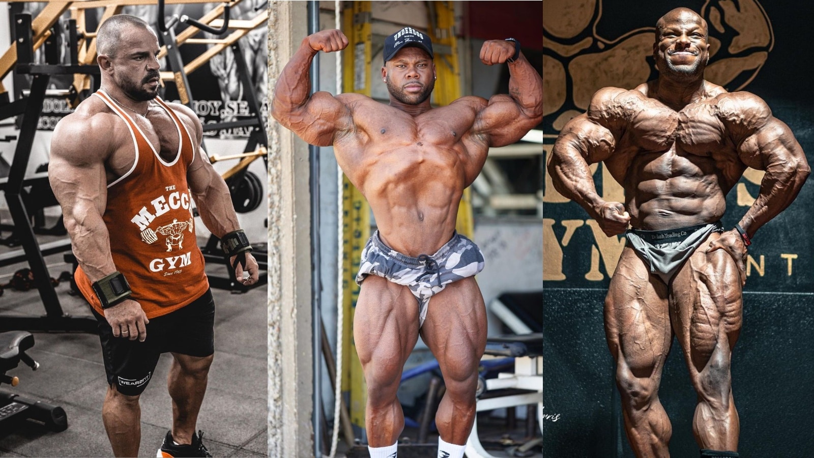 2023 Mr. Olympia Men's 212 Bodybuilding