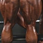 Hamstring Workout