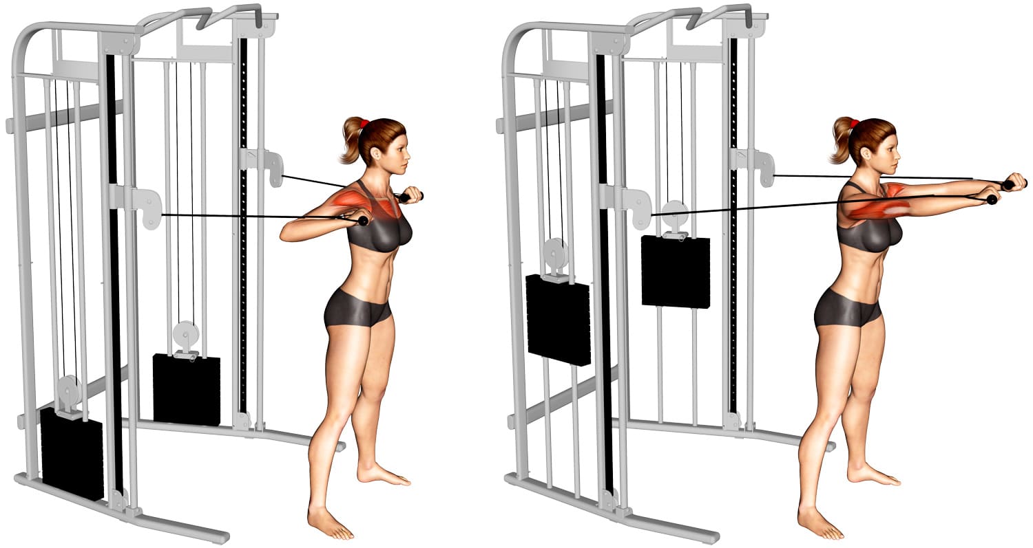 Maximize Chest Gains: Cable Standing Chest Press Benefits – Fitness Volt