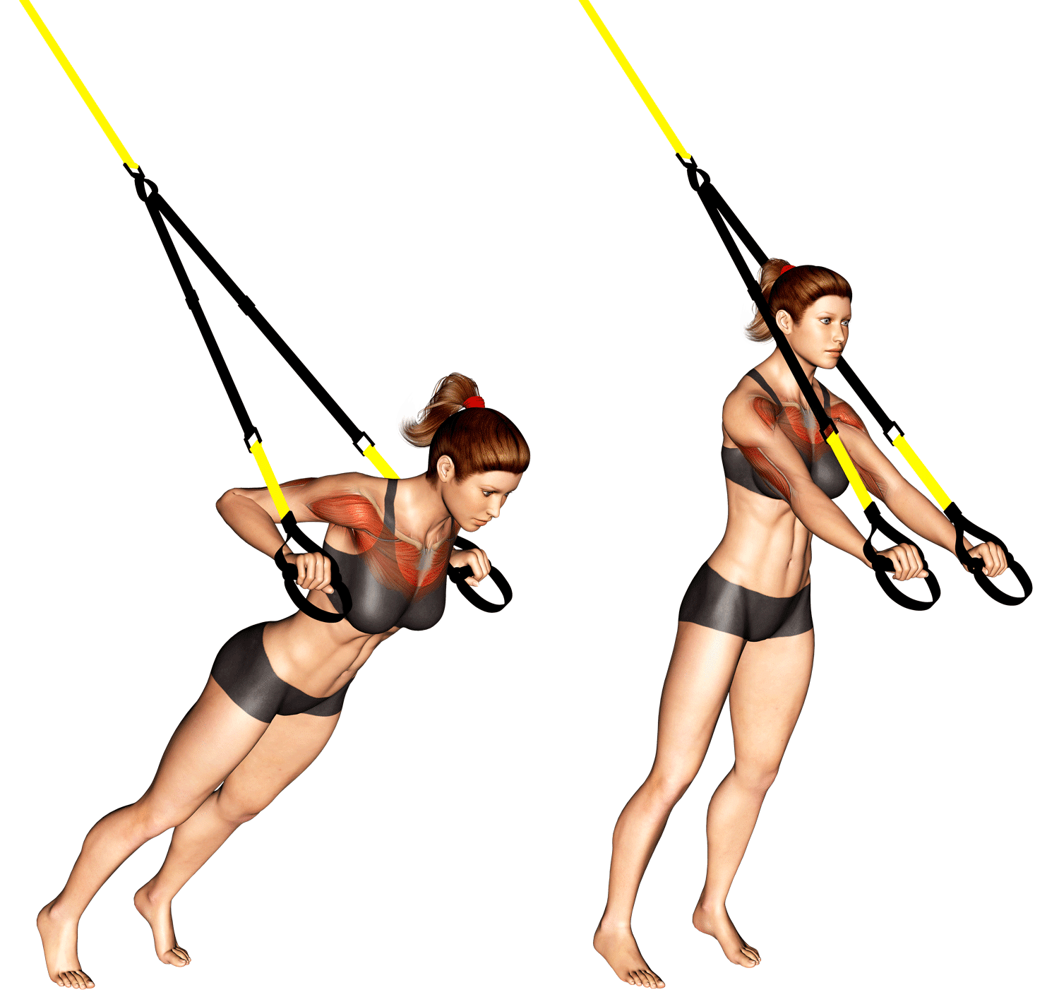 Master the Suspension Chest Press for Total Upper Body Strength