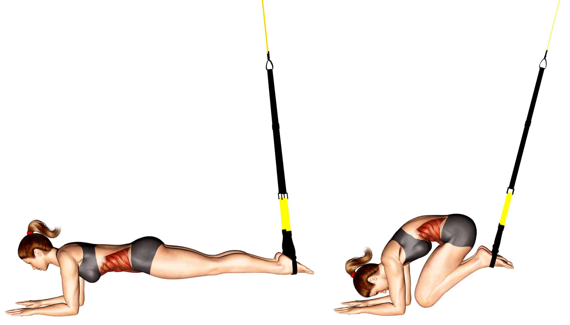 Suspended Crunch Target Your Abs and Hip Flexors Effectively Fitness