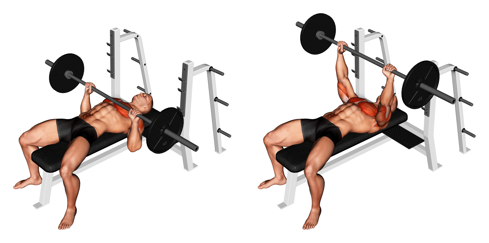 Flat Vs. Incline Vs. Decline Bench Press Which Should You Do