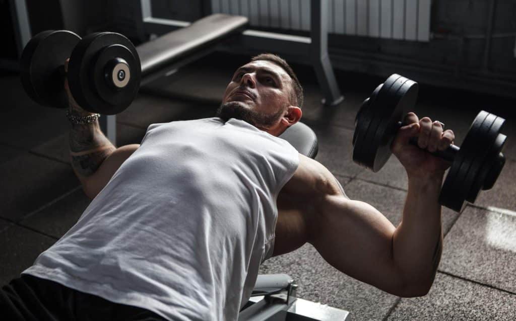 Muscular Strength Exercises