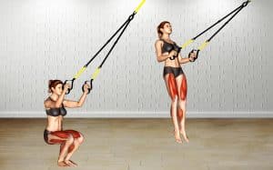 Suspension Jump Squats Guide