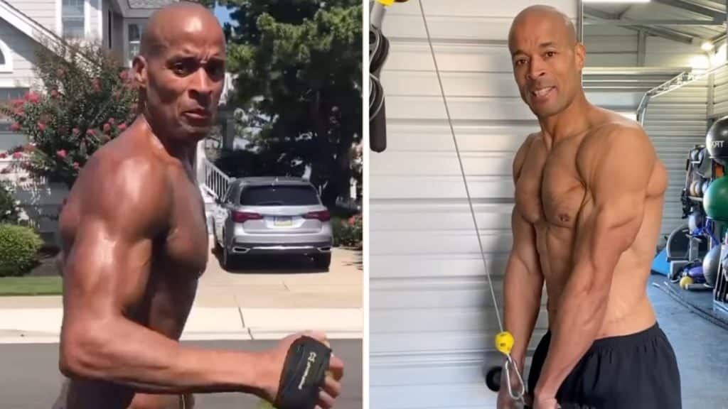 David Goggins On Training