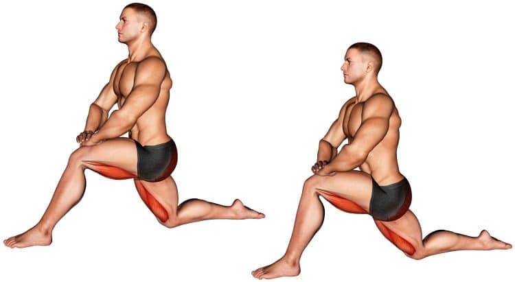 Hip Flexor Stretch Muscles Worked