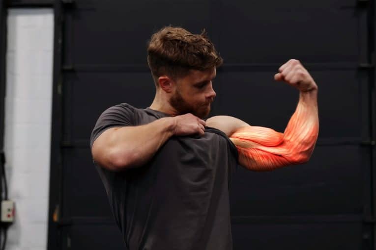 Natural Bodybuilder Jeff Nippard Explains The Benefits of LongLength