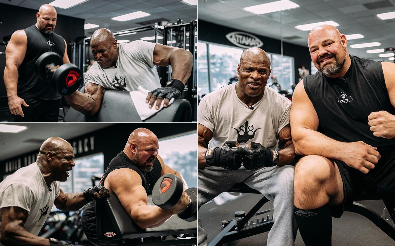 Ronnie Coleman 2013