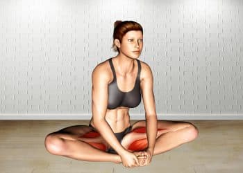 Seated Groin Stretch Guide