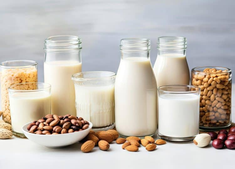 Vegan Milk Alternatives