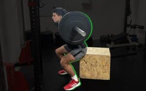 Box Squats Guide