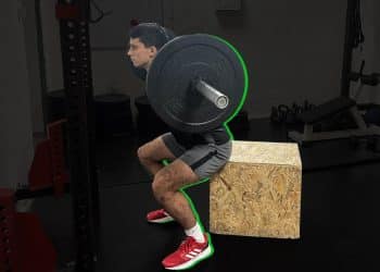 Box Squats Guide