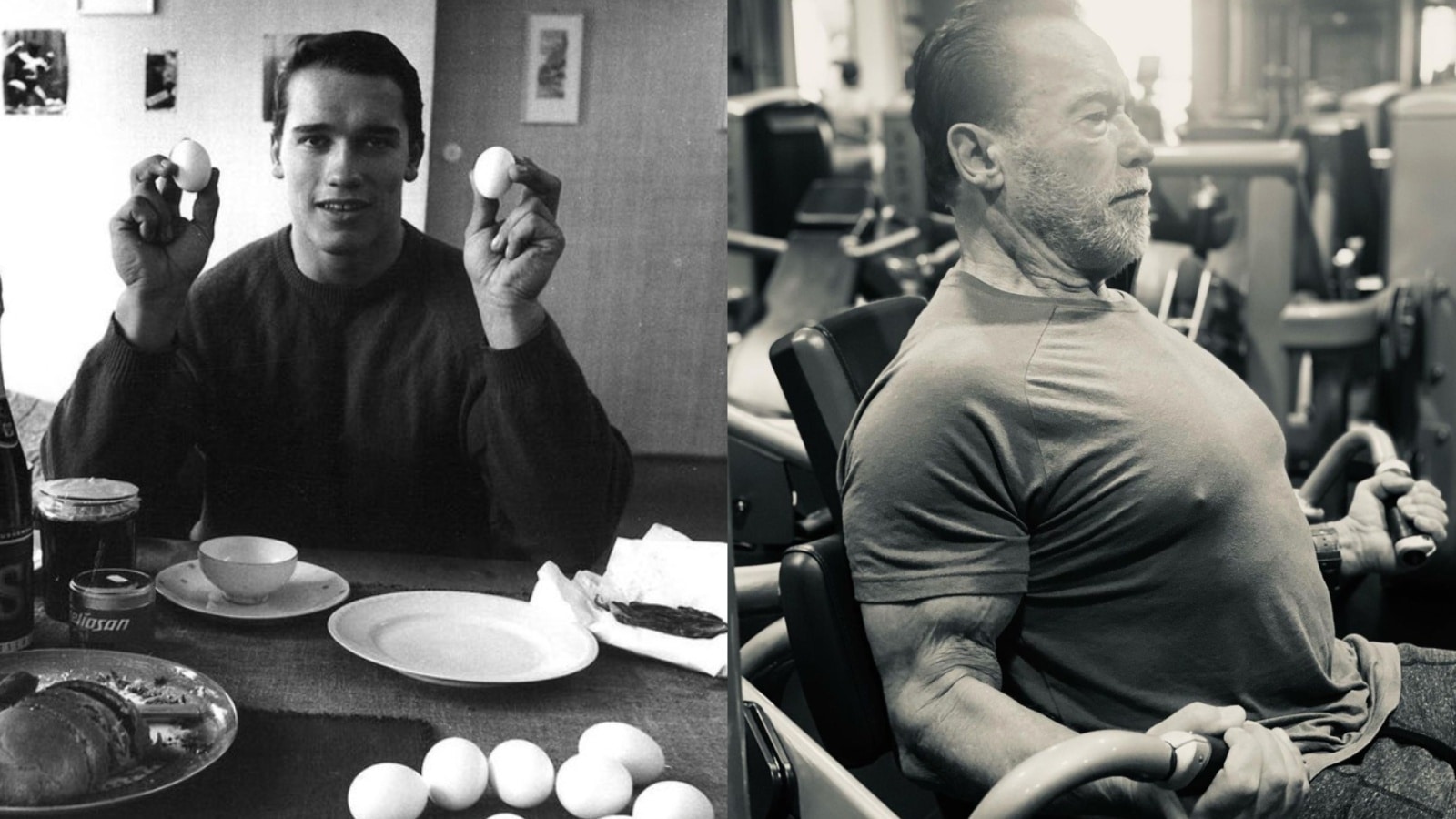 Arnold Schwarzenegger