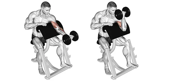 One Arm Dumbbell Preacher Curl