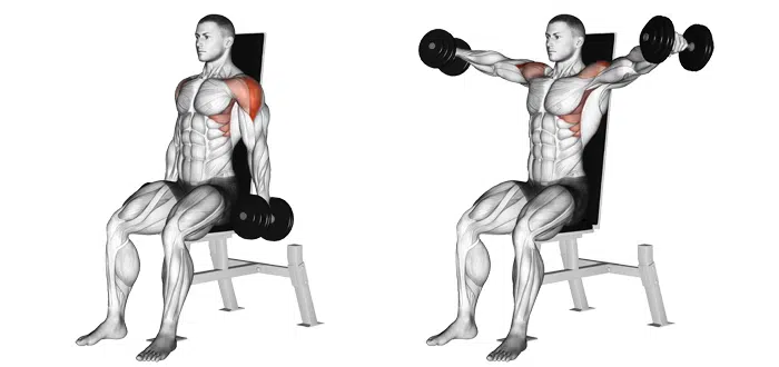 Seated Dumbbell Lateral Raises