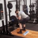 Zercher Good Mornings Guide