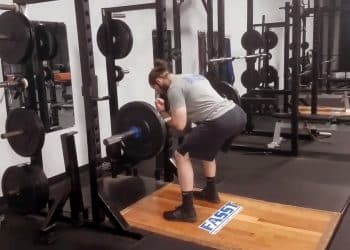 Zercher Good Mornings Guide