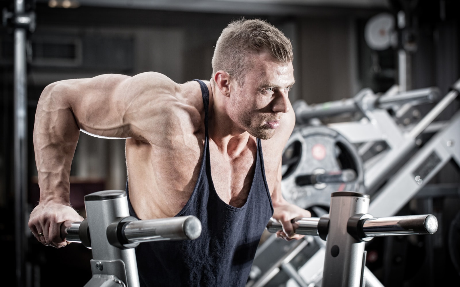 Parallel bar gym dips bodybuilding – Fit Super-Humain
