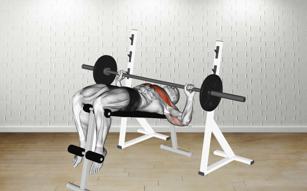 Barbell Decline Wide Grip Press