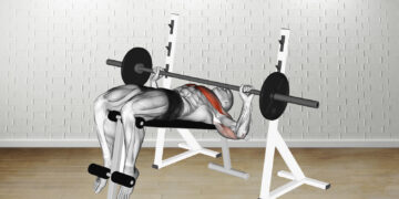 Barbell Decline Wide Grip Press