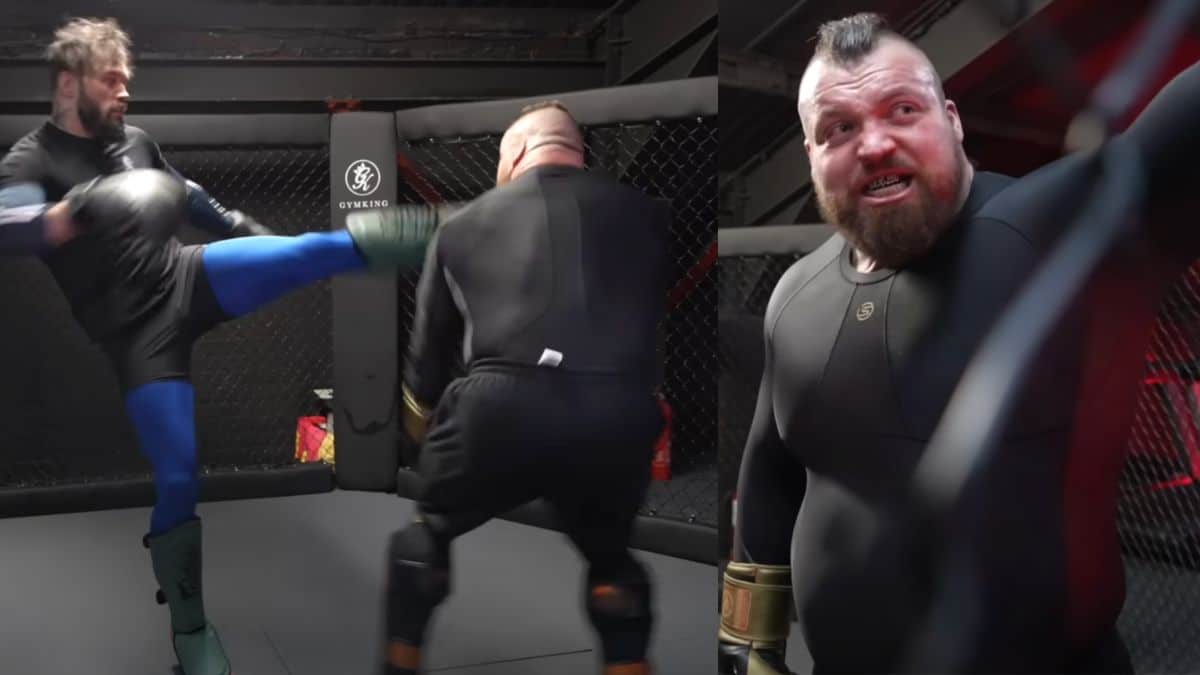 Eddie Hall Ko In Sparring