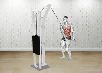 How To Do Thibaudeau Kayak Row