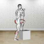 How To Do A Band Step Up