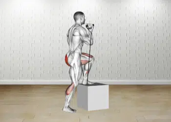 How To Do A Band Step Up