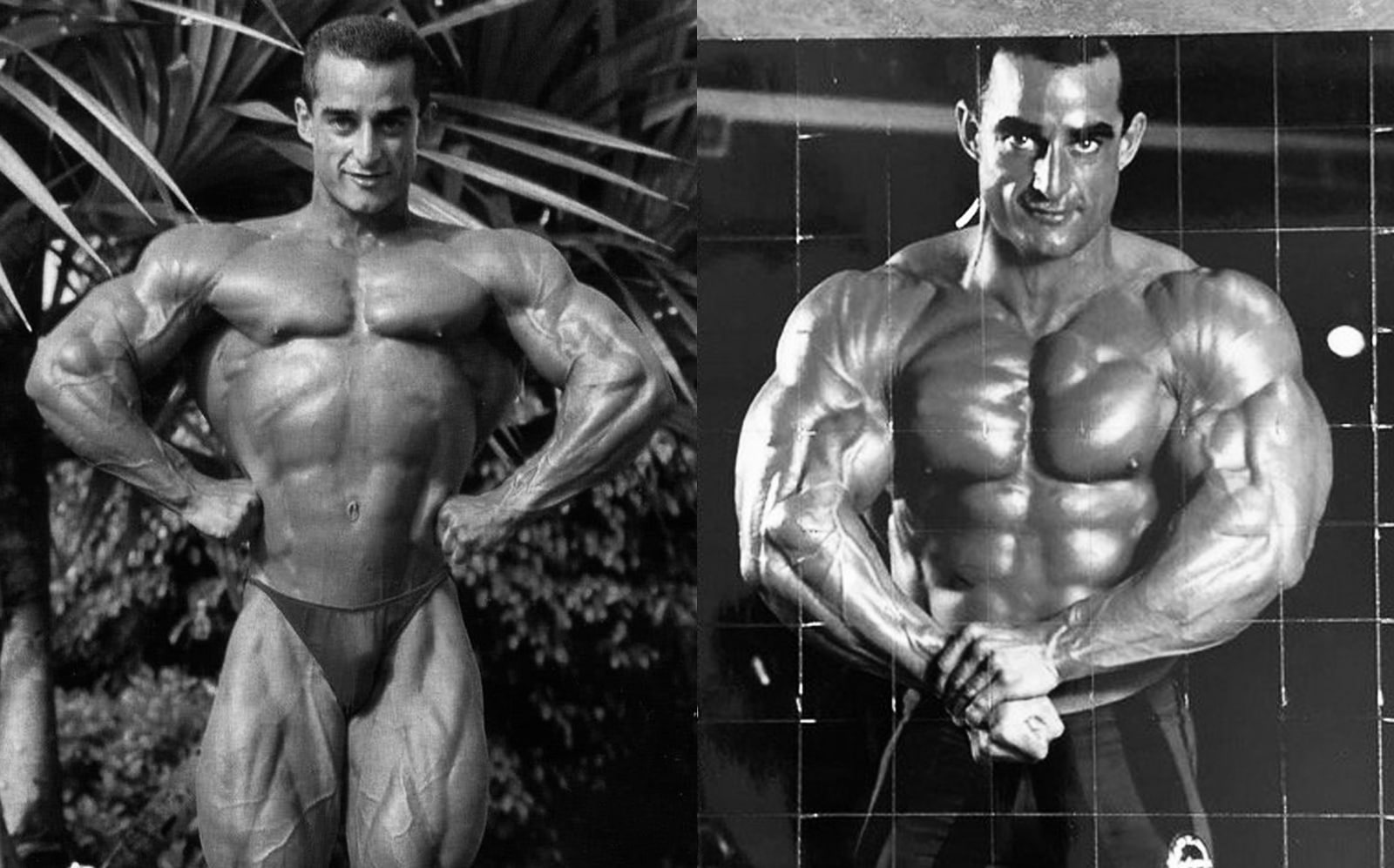 Matt Maclaughlin Passed Away