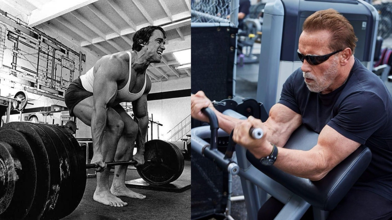 Arnold Schwarzenegger