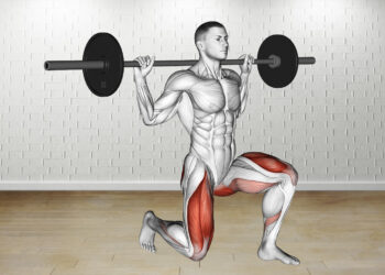 Barbell Rear Lunge Guide