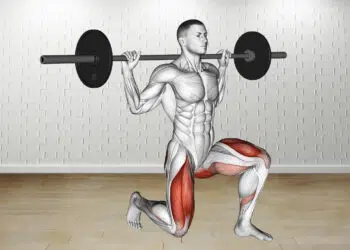 Barbell Rear Lunge Guide