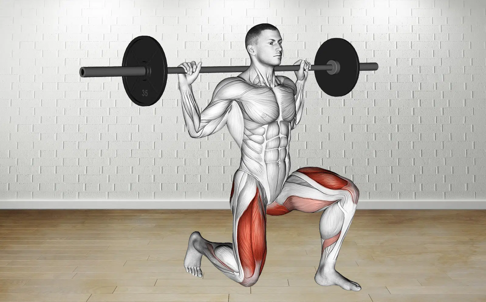 Barbell Rear Lunge Guide