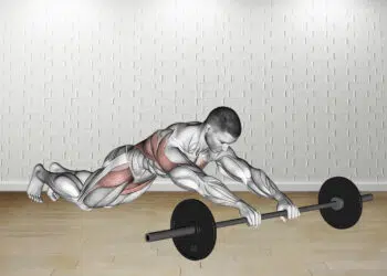 Barbell Rollerout Guide