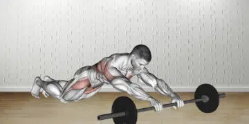 Barbell Rollerout Guide