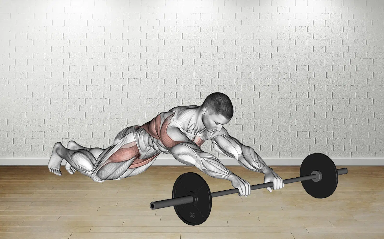 Barbell Rollerout Guide