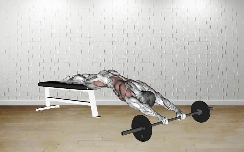 Barbell Rollout From Bench Guide