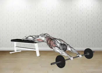 Barbell Rollout From Bench Guide
