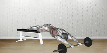 Barbell Rollout From Bench Guide