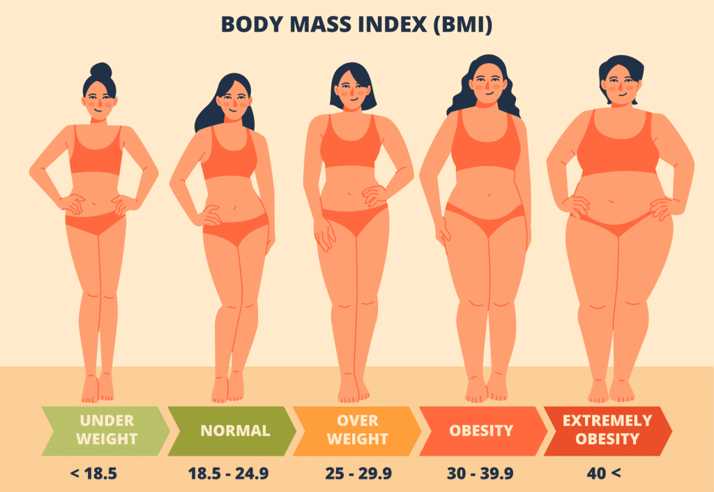 Average Body Fat Percentage What Numbers Tell Us About Health