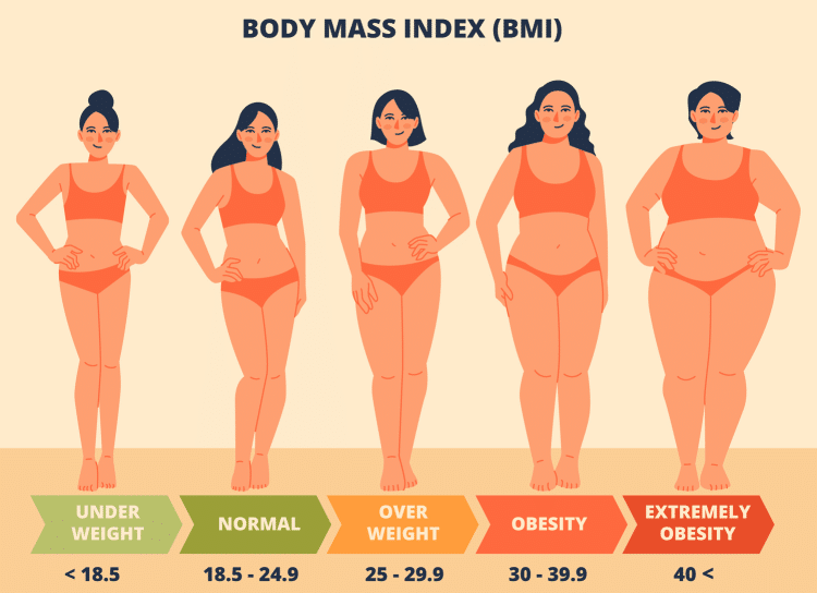 Female BMI Index