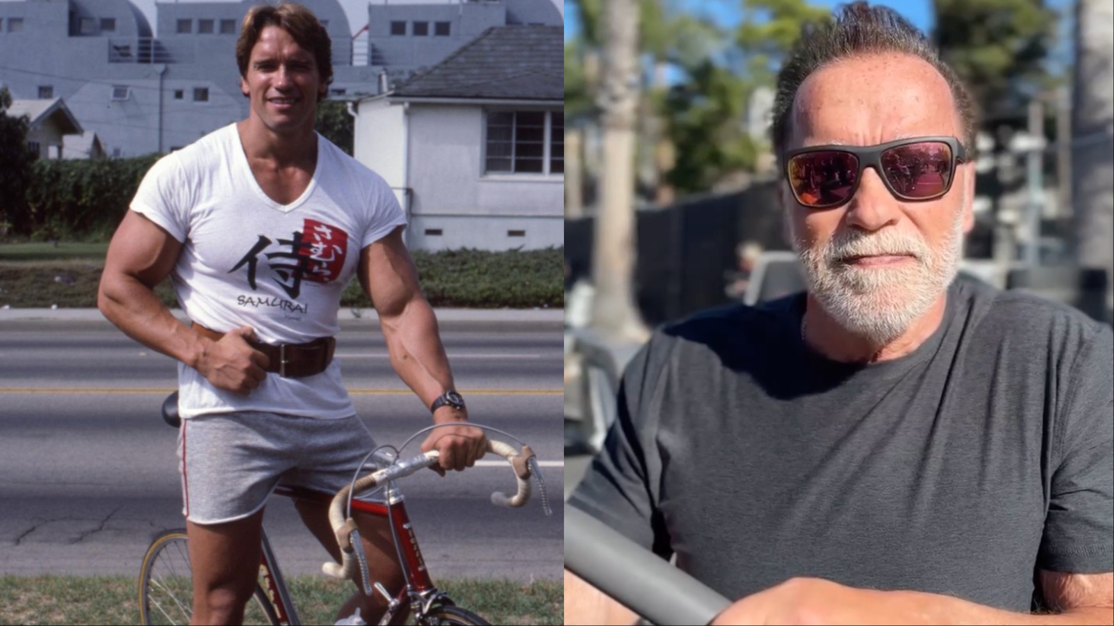 Arnold Schwarzenegger