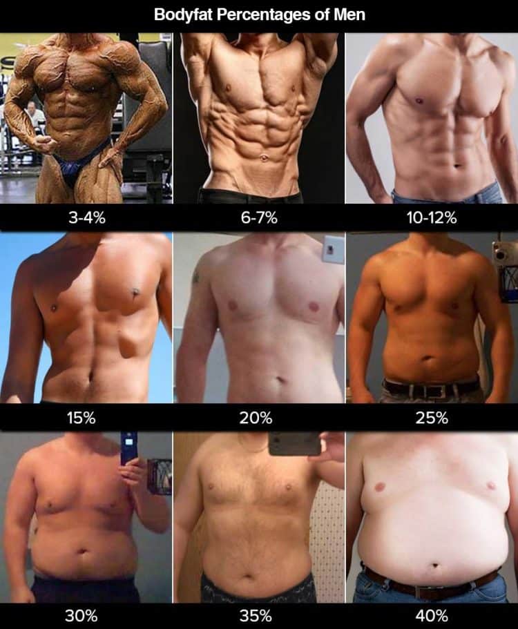 Bodyfat Percentages For Men